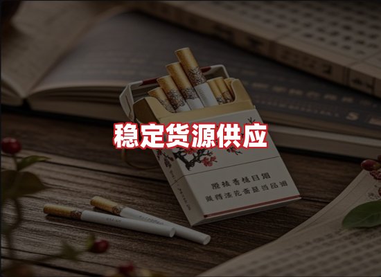 专业团队
